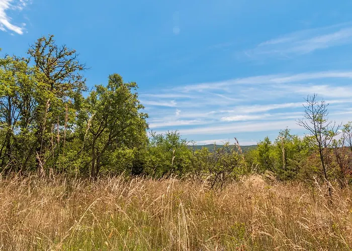 Athos Apartman Rabac