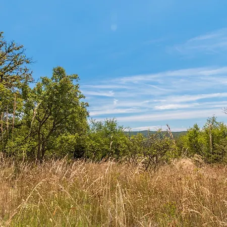 Athos Apartment Rabac